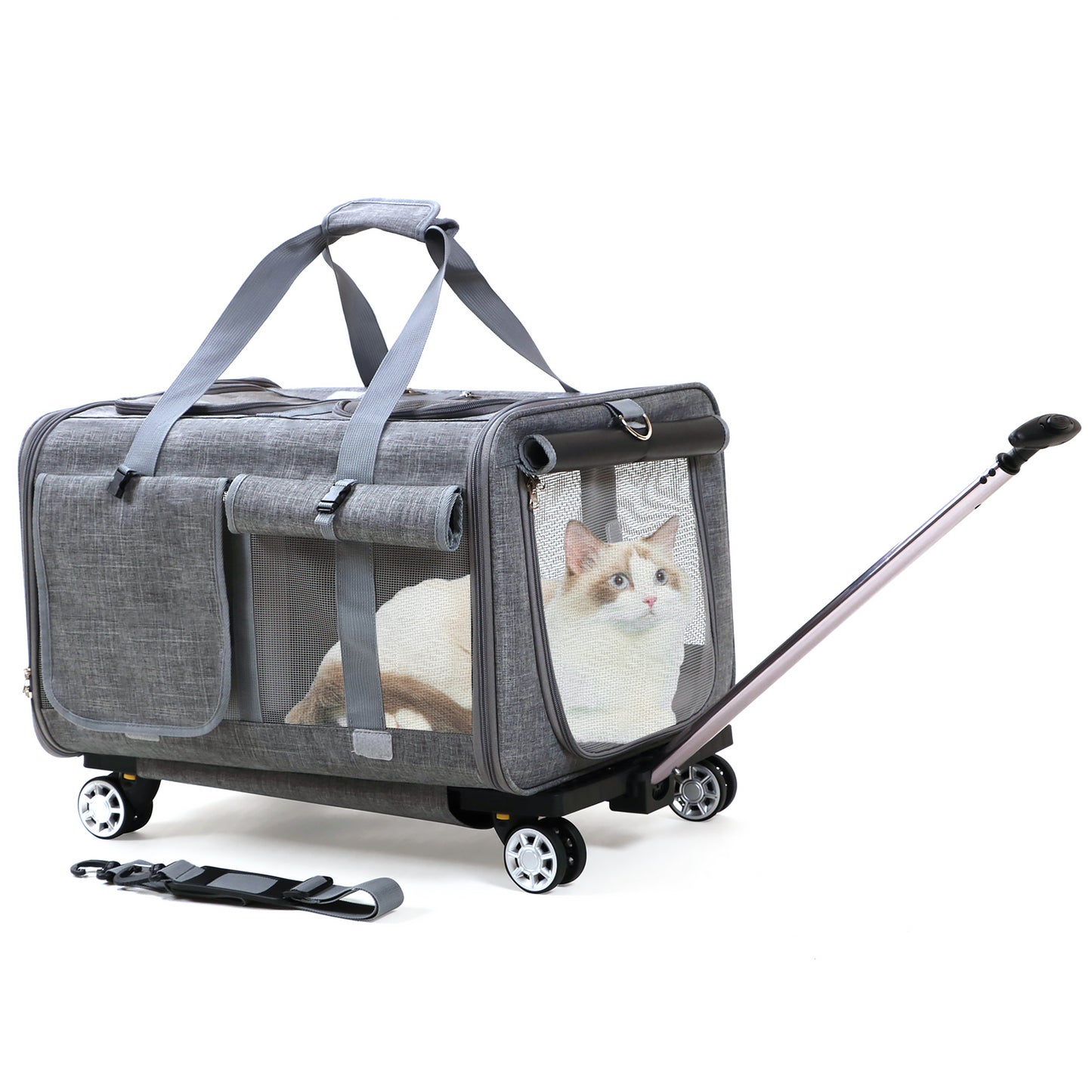 Großer Katzentransporter mit Rädern. Doppelter Katzentransporter mit Rädern für 2 Katzen. Rollbarer Haustiertransporter mit Rädern. Katzentransporter für zwei Katzen auf robusten Rädern. Katzentransporter für 2 Katzen. Haustiertransportbox mit Rädern