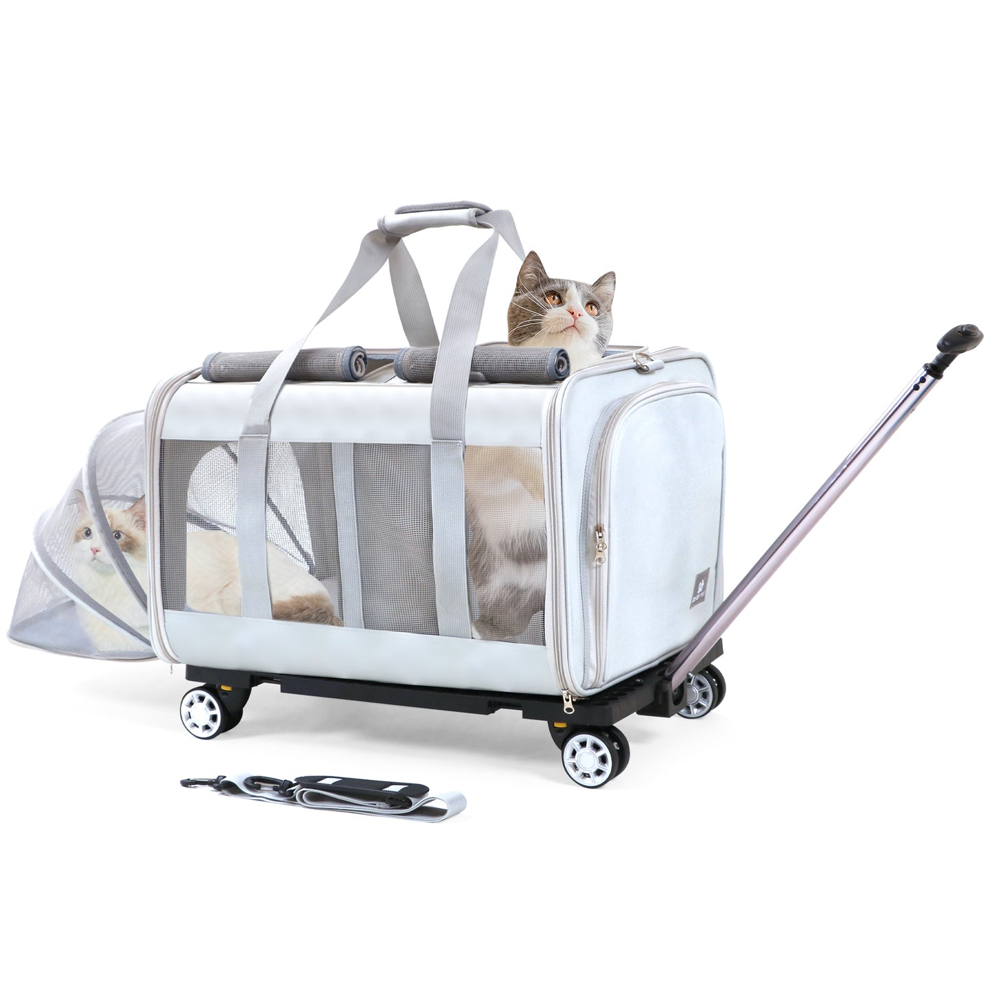 Großer Katzentransporter mit Rädern. Doppelter Katzentransporter mit Rädern für 2 Katzen. Rollbarer Haustiertransporter mit Rädern. Katzentransporter für zwei Katzen auf robusten Rädern. Katzentransporter für 2 Katzen. Haustiertransportbox mit Rädern