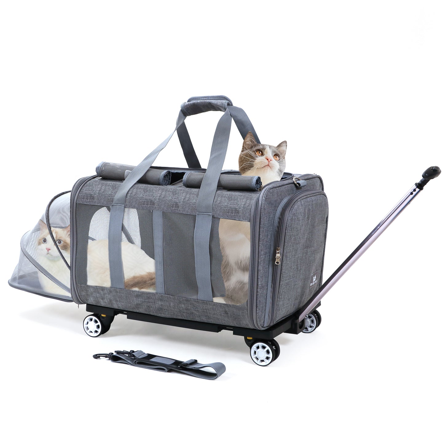 Großer Katzentransporter mit Rädern. Doppelter Katzentransporter mit Rädern für 2 Katzen. Rollbarer Haustiertransporter mit Rädern. Katzentransporter für zwei Katzen auf robusten Rädern. Katzentransporter für 2 Katzen. Haustiertransportbox mit Rädern