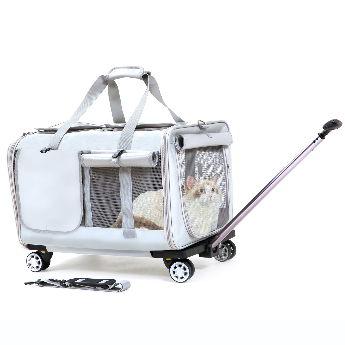 Großer Katzentransporter mit Rädern. Doppelter Katzentransporter mit Rädern für 2 Katzen. Rollbarer Haustiertransporter mit Rädern. Katzentransporter für zwei Katzen auf robusten Rädern. Katzentransporter für 2 Katzen. Haustiertransportbox mit Rädern