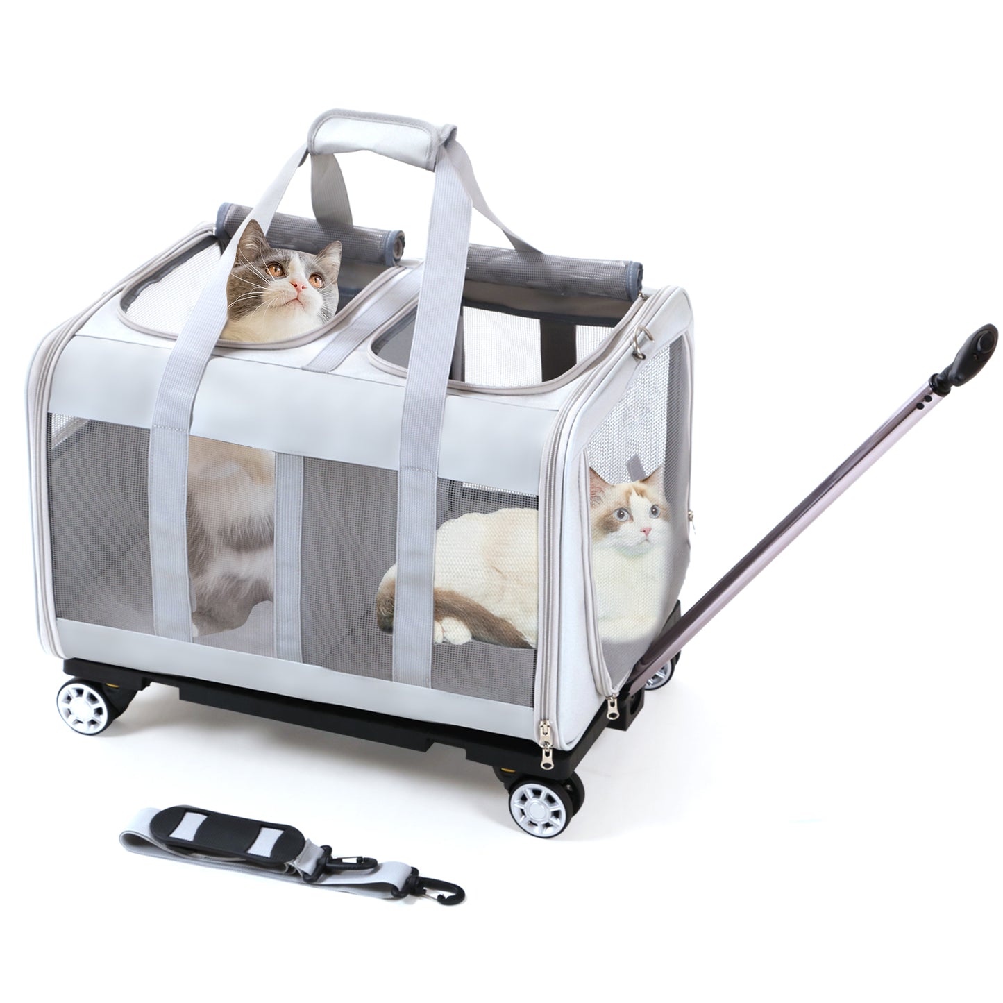 Großer Katzentransporter mit Rädern. Doppelter Katzentransporter mit Rädern für 2 Katzen. Rollbarer Haustiertransporter mit Rädern. Katzentransporter für zwei Katzen auf robusten Rädern. Katzentransporter für 2 Katzen. Haustiertransportbox mit Rädern